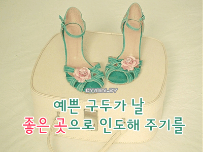 조은스텝주 이미지