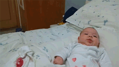 작정하고 귀엽고 사랑스러운 아기와 강아지 모음(심장녹아내림주의) | 인스티즈