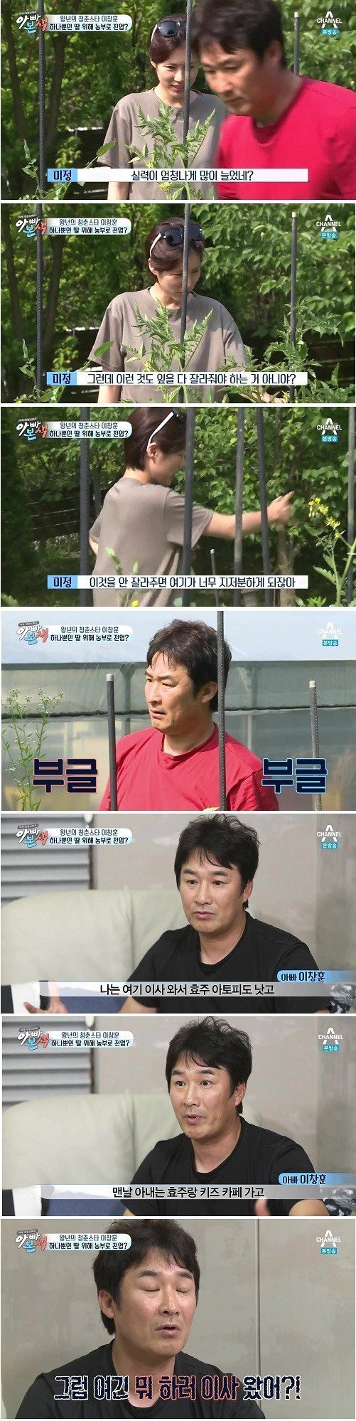 욕먹고 사는 전업주부 | 인스티즈