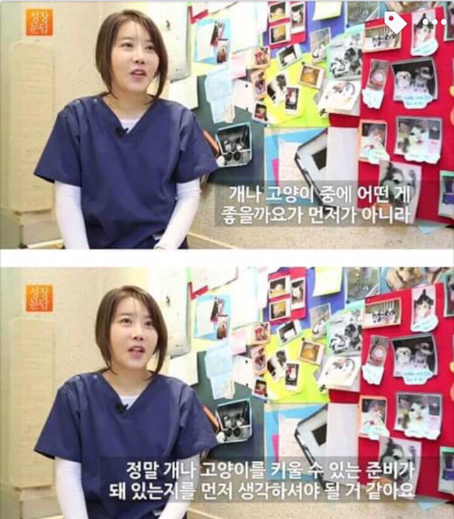 강아지나 고양이를 키우려는 사람들에게 | 인스티즈