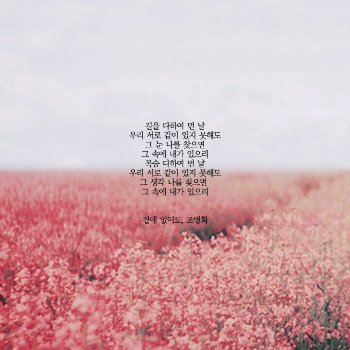  나의 전쟁은 내 마음 속으로 네가 들어온 순간 부터 시작 되었다 | 인스티즈