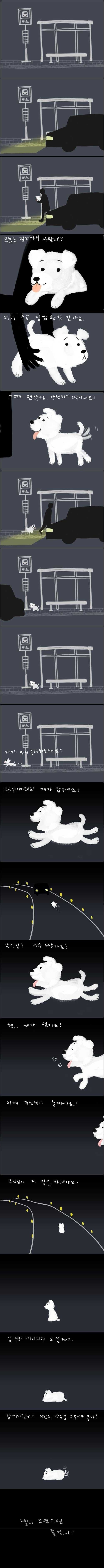 강아지가 버려질때의 심리.jpg (+ 실제 버려지는 강아지 영상) | 인스티즈