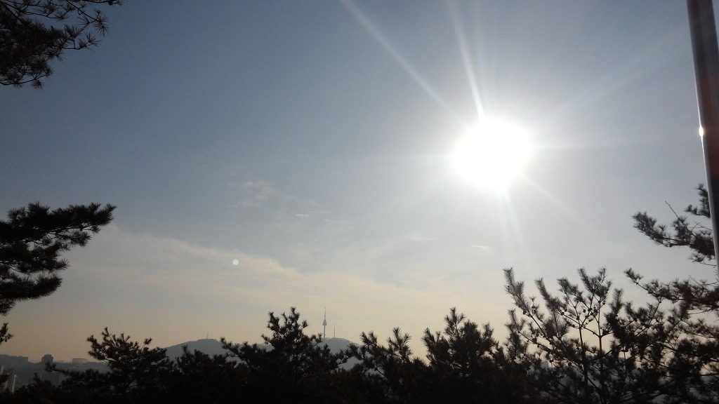 2134DC3756A8DEA3036864