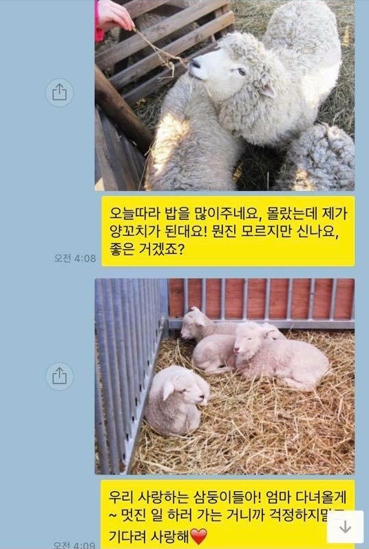 이게 진정한 친구지.jpg | 인스티즈