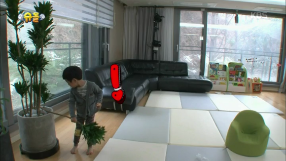나무를 부러트린 서준이의 최후 | 인스티즈