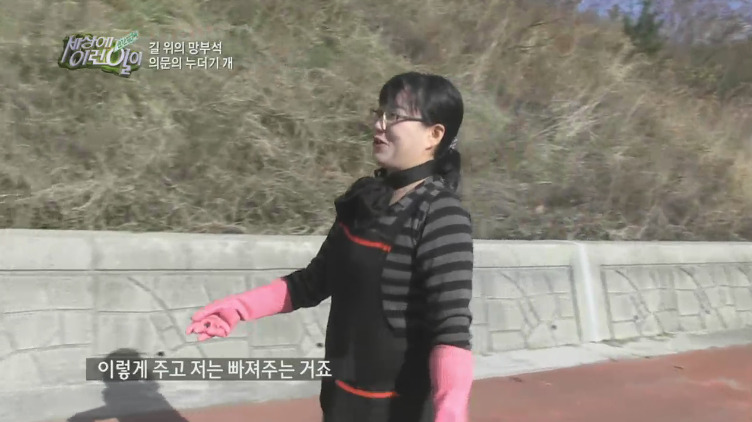 [세상에이런일이] 도로위에 망부석이 되서 주인을 기다리는 강아지.jpg | 인스티즈
