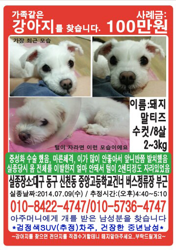 수컷 이미지