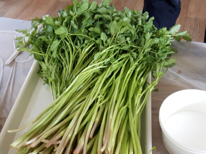 청수농장 이미지