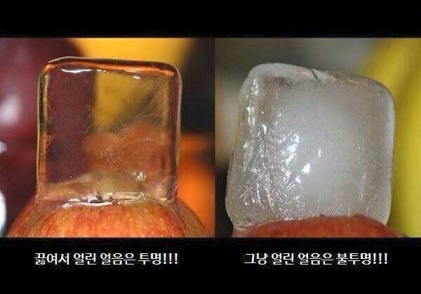 알아두면 유용한 꿀팁..^^ | 인스티즈