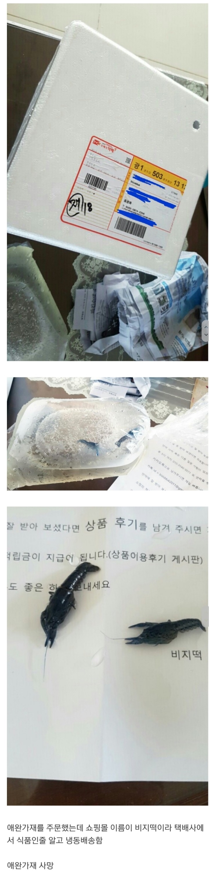익스트림 택배.jpg | 인스티즈