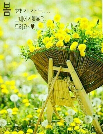행복시루떡 이미지