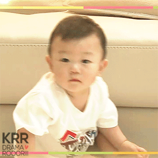 수요일 아침을 맞이하는 대박이.jpgif | 인스티즈