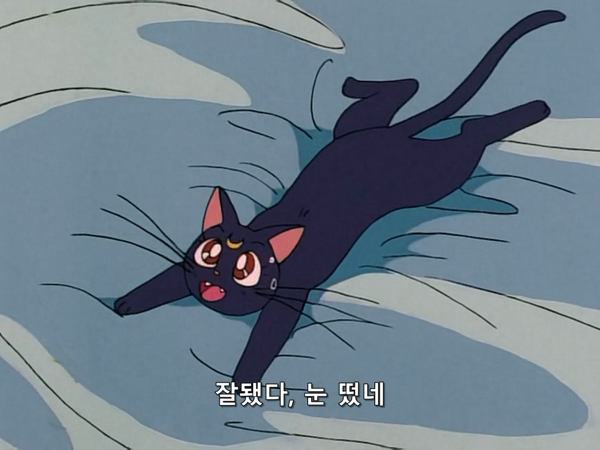 미소녀 전사 세일러문 (美少女戦士セーラームーン) 03 | 인스티즈