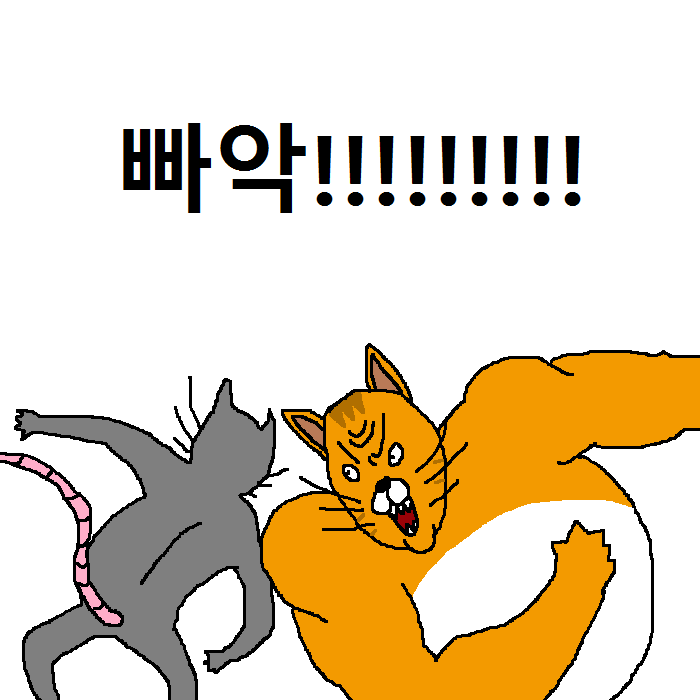 상남자 고양이의 아들 교육법 | 인스티즈