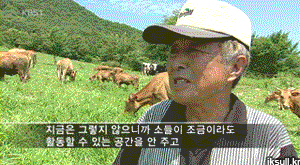도서관에서 볼 수 있는 사람들 유형 | 인스티즈