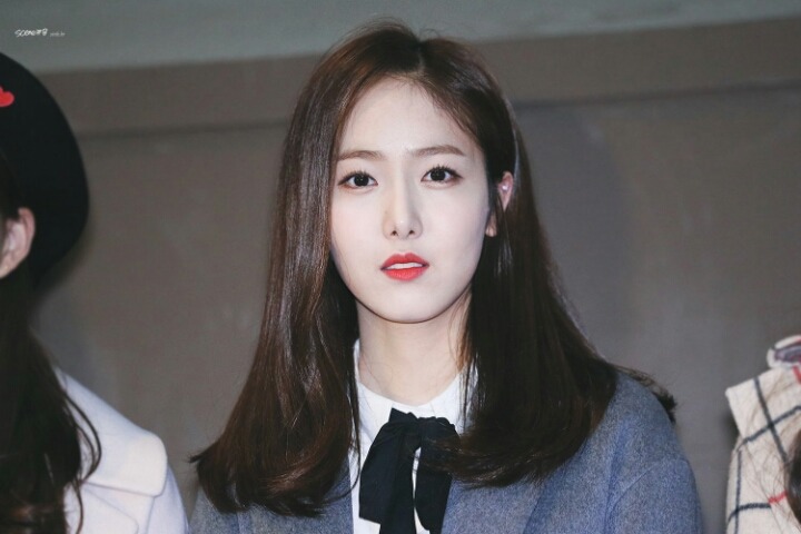 신비양 이미지