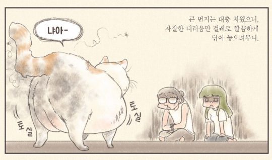 상상 속의 고양이 vs 실제 고양이 | 인스티즈