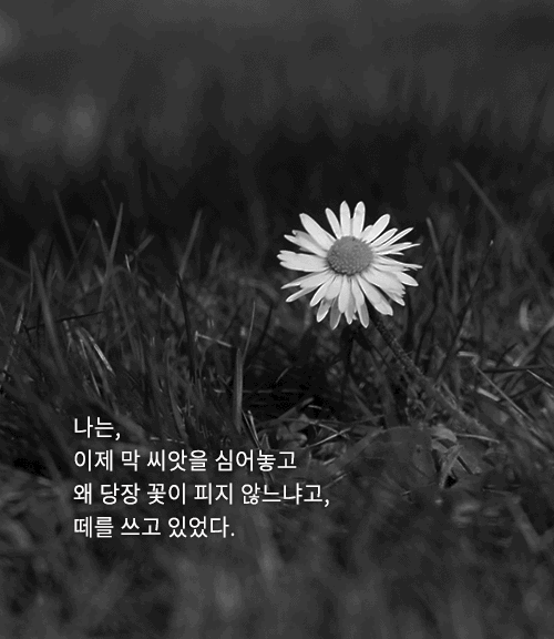 삶에 자극이 되는 일기 명언 | 인스티즈
