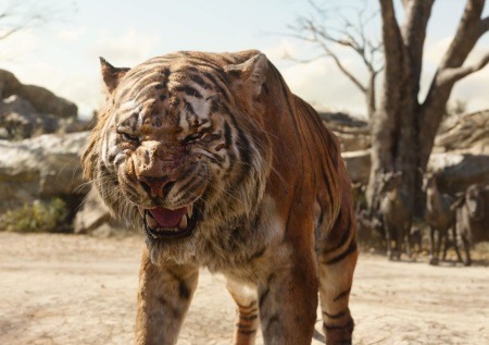 영화 정글북에서 이 둘이 싸우면 누가 이길까? | 인스티즈