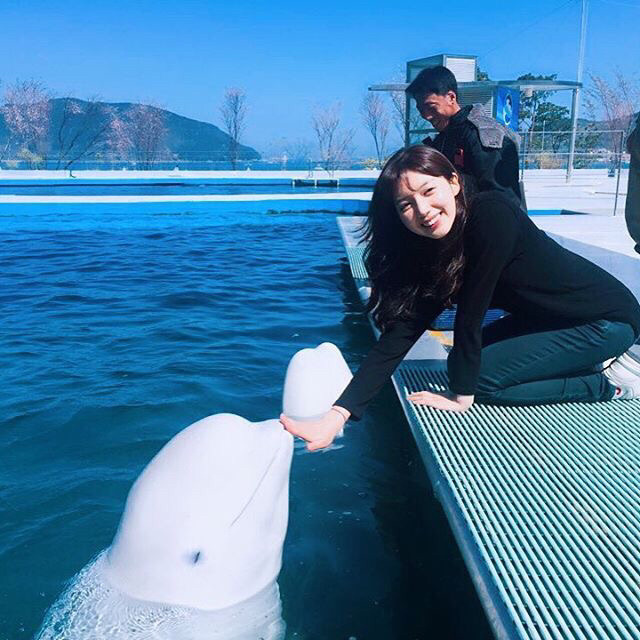 남녀차별하는 돌고래 | 인스티즈