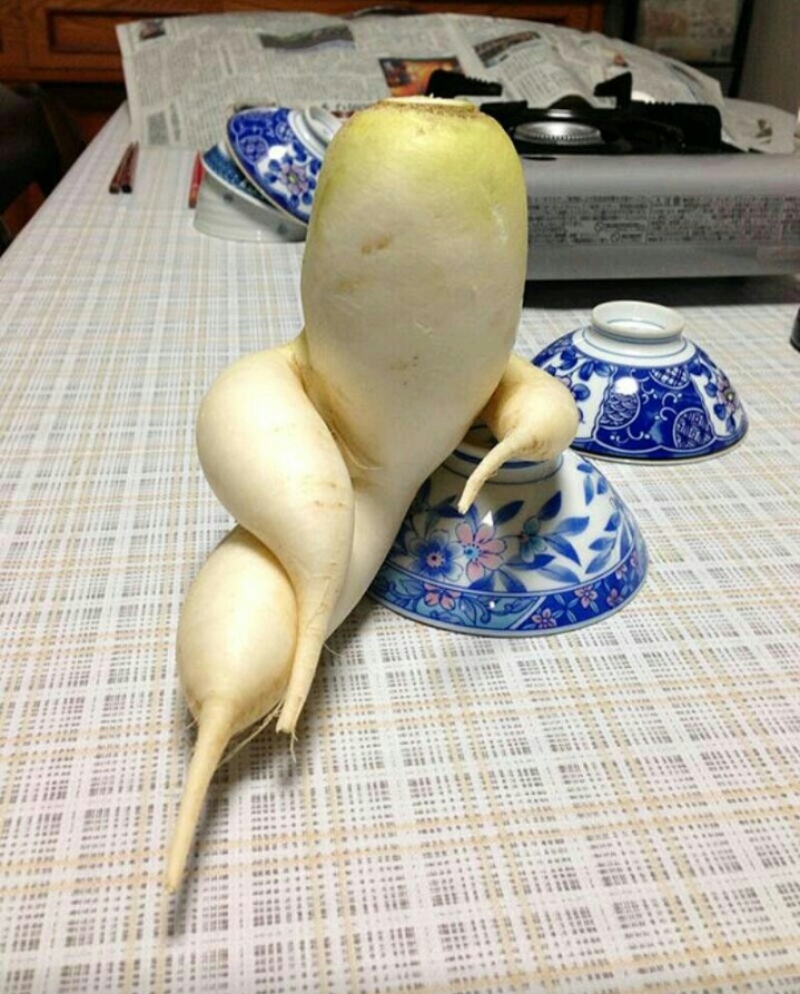 신기야채 이미지