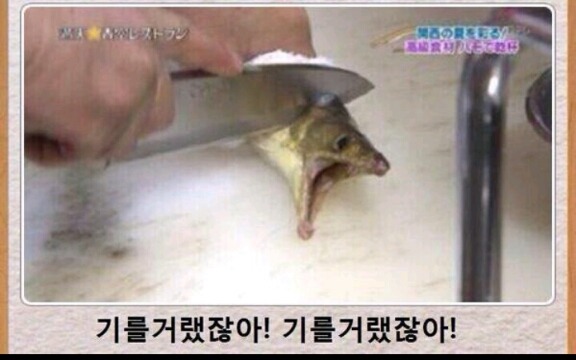 뻥쟁이네 이미지