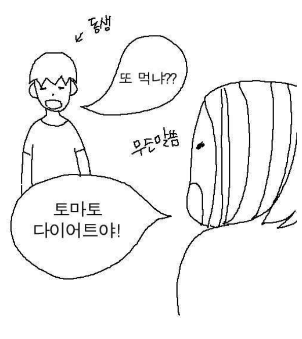 토마토 다이어트를 하는데 살이 안 빠진다 | 인스티즈