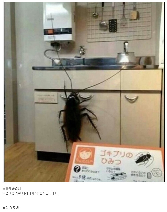 장난감세상 이미지