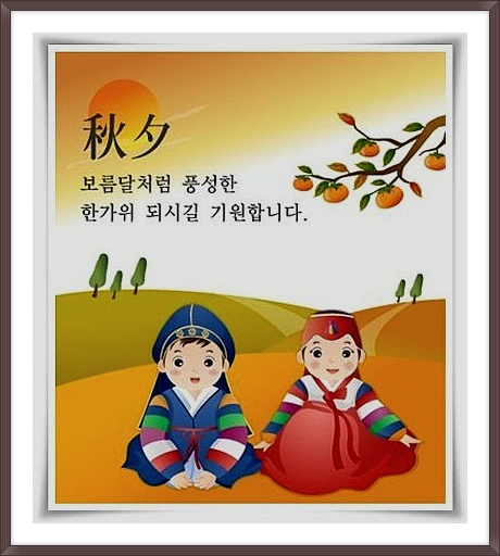 오징어연가 이미지