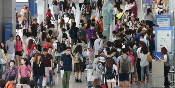 세계에서 가장 바쁜 항공 노선.jpg | 인스티즈