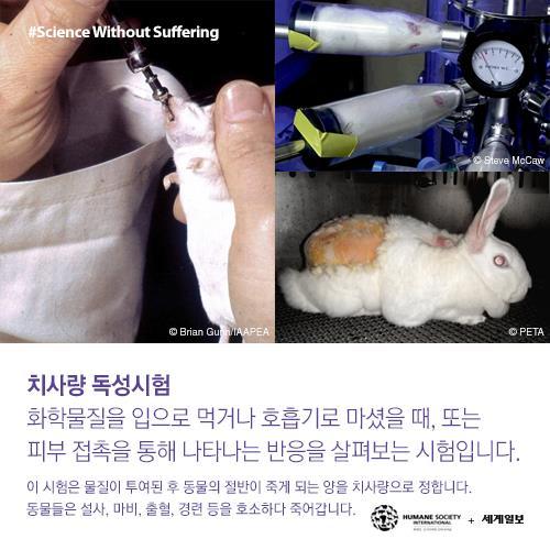 저를 죽이기 전에 눈을 한번 봐주세요(혐오주의) | 인스티즈