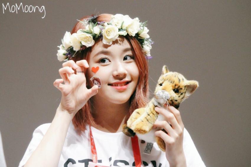 손채영.gif+jyp (데이터주의) | 인스티즈