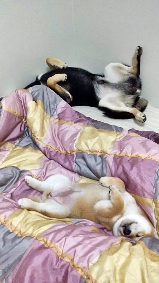 봉구 이미지