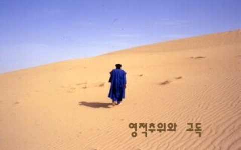 도시의광야 이미지
