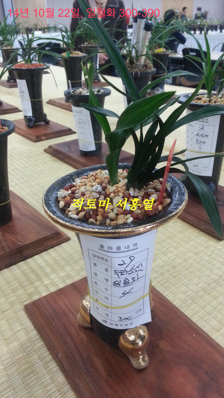 한국공판장 이미지
