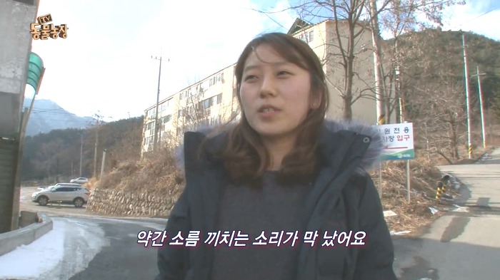 [동물농장] 수로 속에 갇힌 황구가 찾는 희망.JPG (감동주의) | 인스티즈