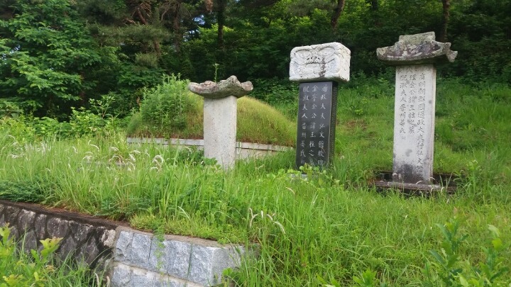 선영 이미지