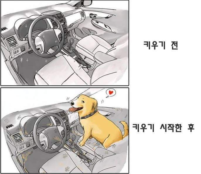 애완동물 키우기 전과 후 | 인스티즈