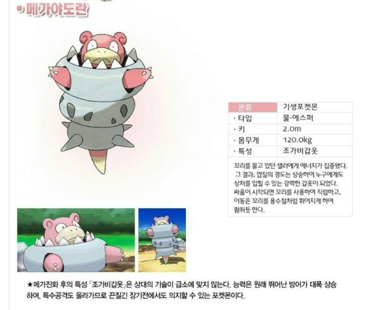 1세대 포켓몬 메가진화 | 인스티즈