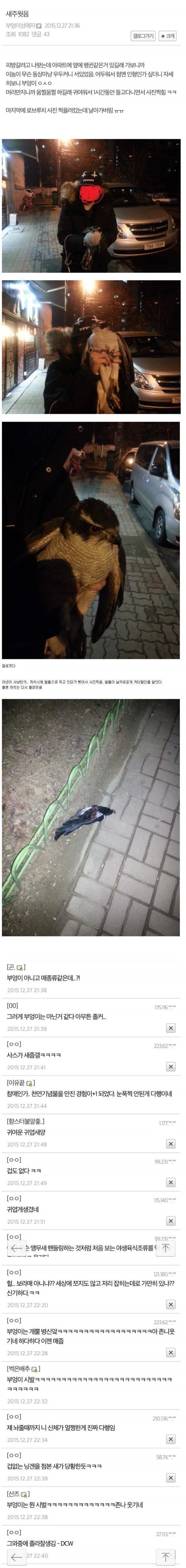 길가다 부엉이를 줍줍한..jpg | 인스티즈