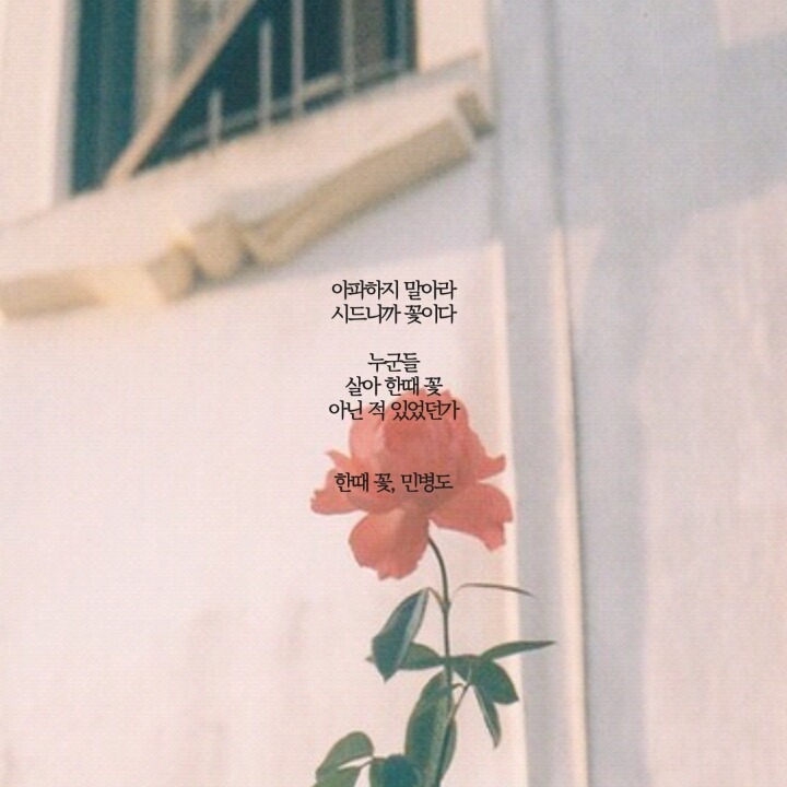  네 안에서 부는 바람에 너는 너무 오래 흔들린다 | 인스티즈