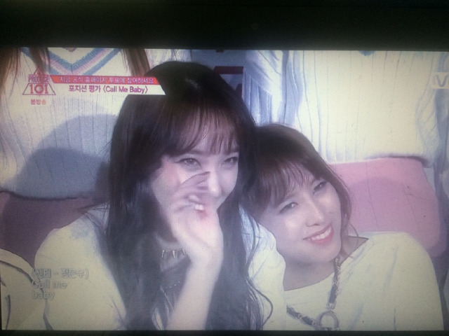 프로듀스 101갤에서 줍줍한 플레디스 애들 사진 | 인스티즈