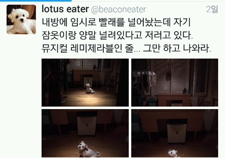 내방에 임시로 빨래를 널어놨는데 | 인스티즈