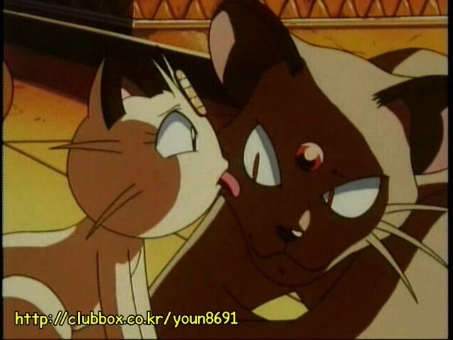 [포켓몬] 나옹이의 가나다라마바사 | 인스티즈