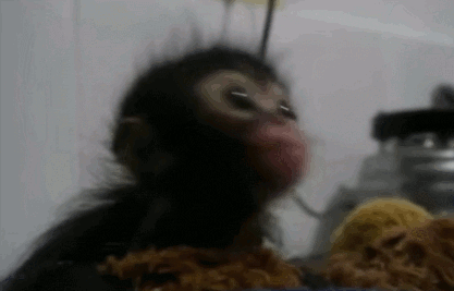 동물들의 귀여운 먹방 ^,.^ | 인스티즈