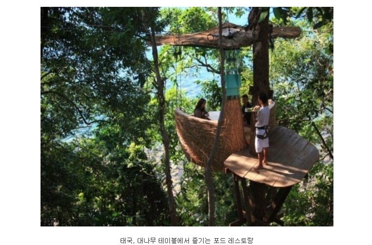 지구촌 특이한 레스토랑들.jpg | 인스티즈