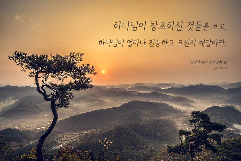 존재천국 이미지