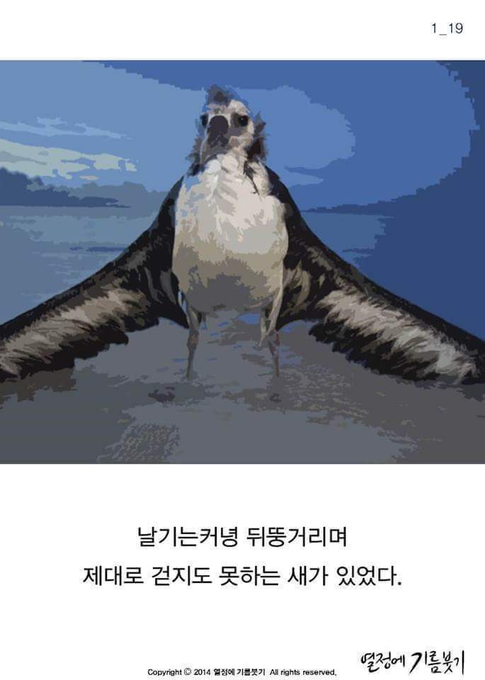 날개 이미지
