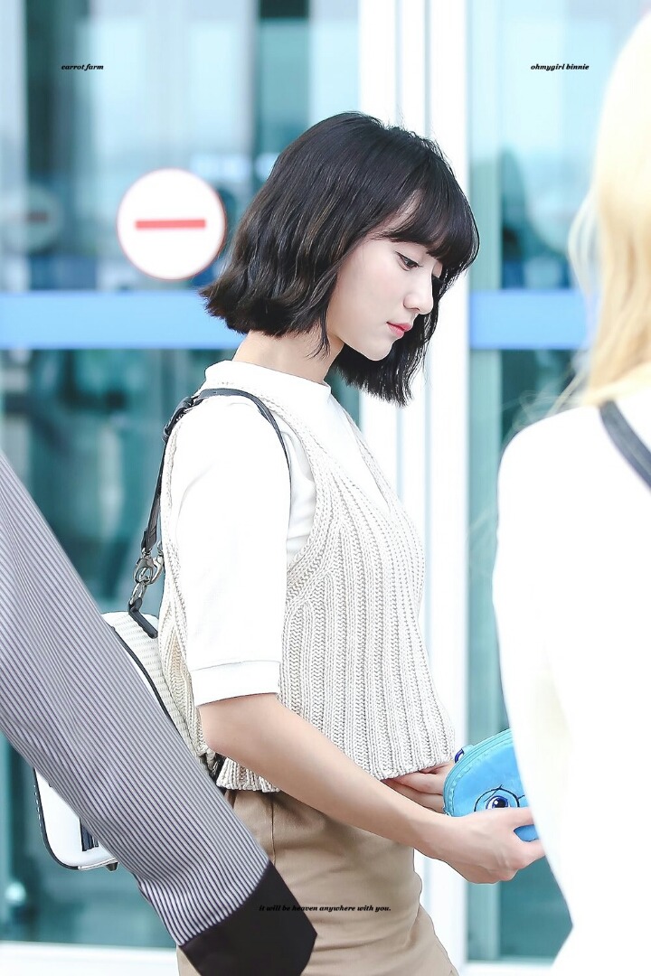 빈빈 이미지