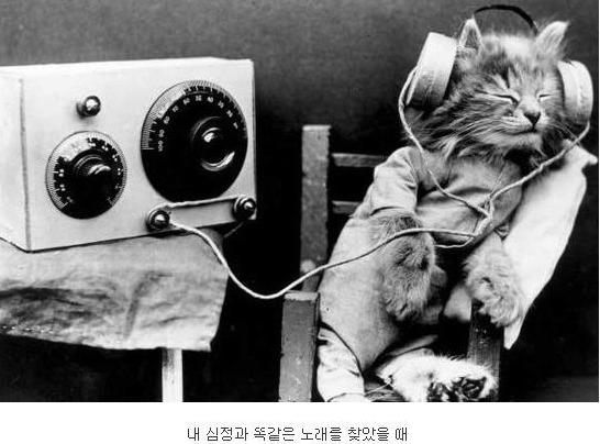 여러분은 이 상황중 어떨때 기분이 가장 좋으신가요? | 인스티즈